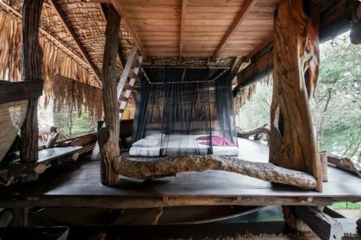 Pet Friendly Banyan Lodge Eco Retreat