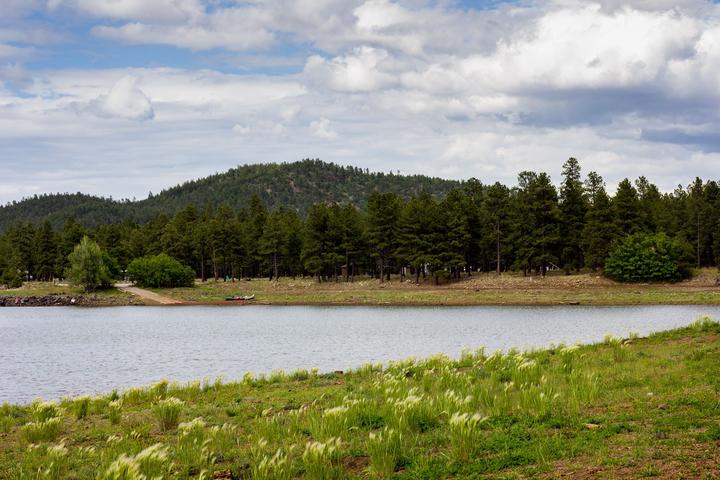 Pet Friendly Dogtown Lake Group Area Campground
