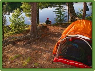 Mountain Lake Campground Cabins Pet Policy