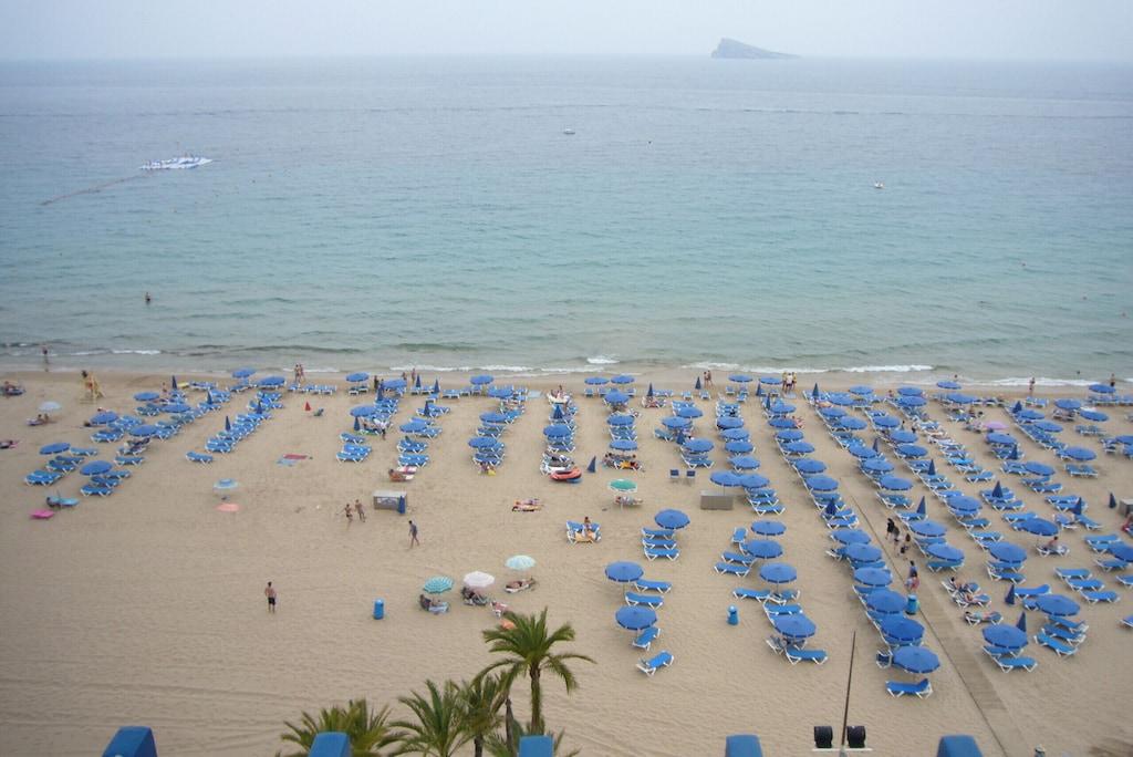 Las Palmeras (Studio) Benidorm Pet Policy