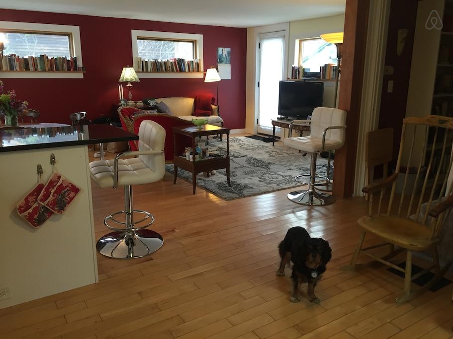 Pet Friendly West Windsor Airbnb Rentals
