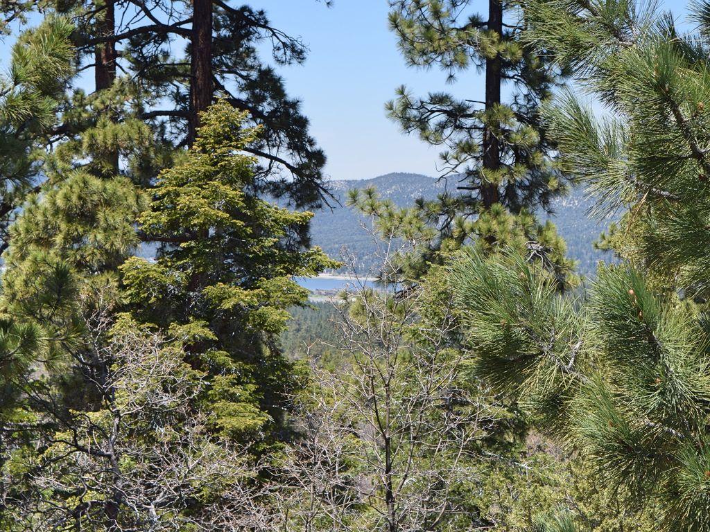 Pet Friendly Vacation Rentals In Forest Falls Ca Bringfido