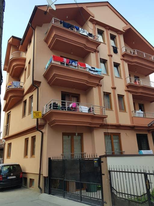 Pet Friendly Struga Airbnb Rentals
