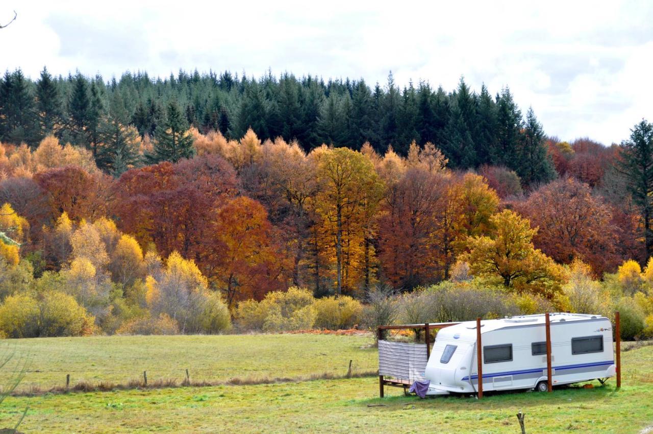 Pet Friendly Guillerin Caravan and Glamping