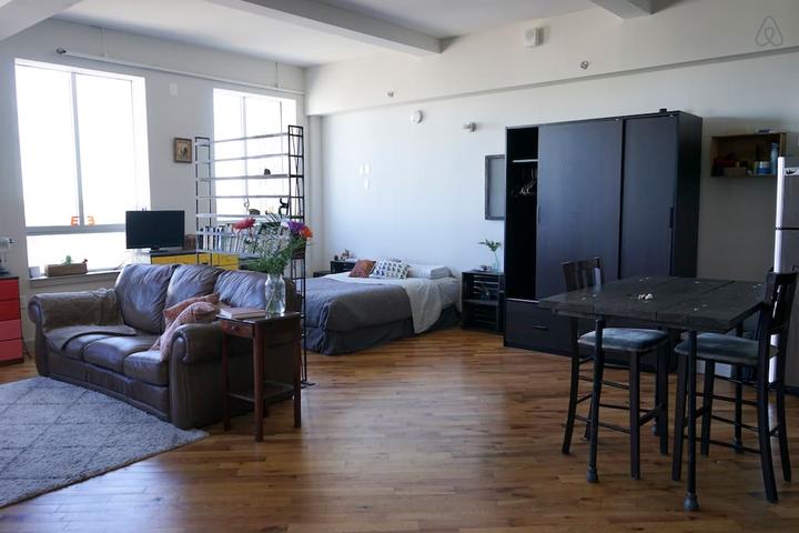 Pet Friendly Long Island City Airbnb Rentals