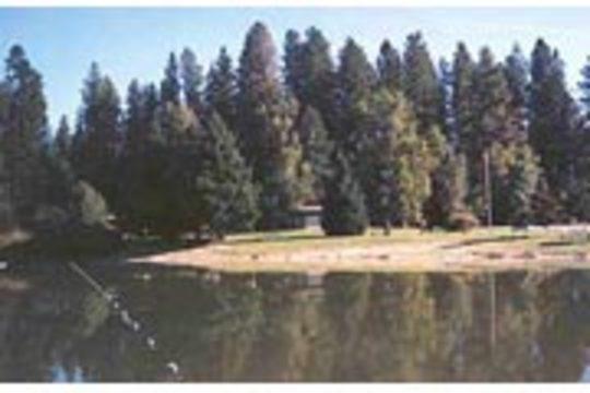Pet Friendly Priest River Campground