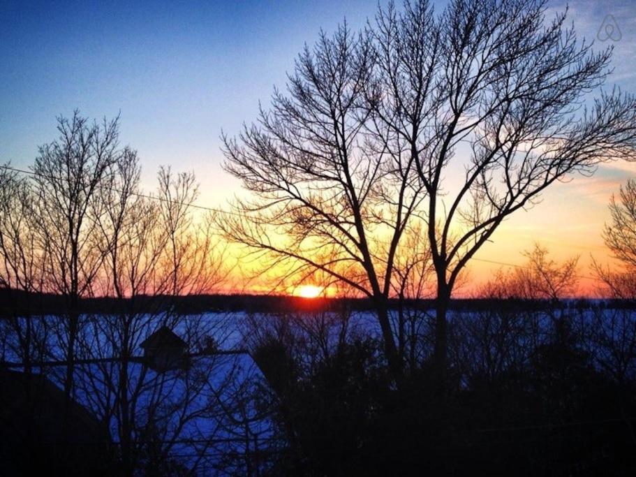 Peshtigo Airbnb Rentals Pet Policy