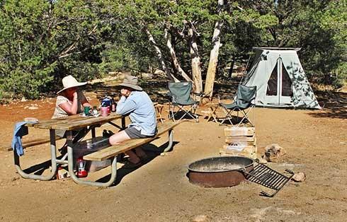 Pet Friendly Desert View Campground