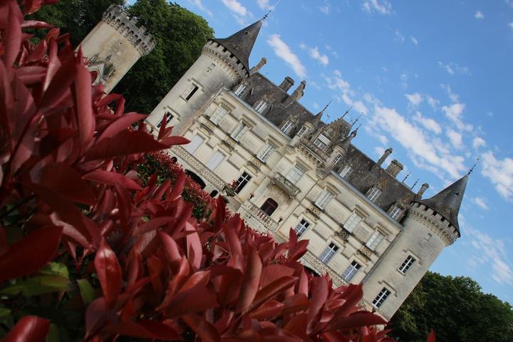 Pet Friendly Château de Nieuil