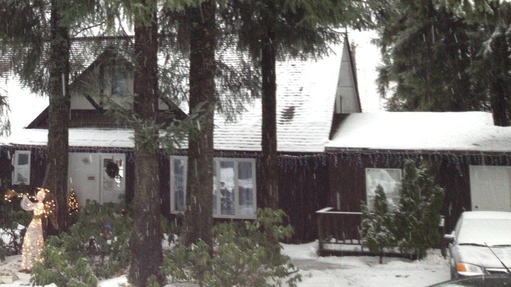 Grandma's Suite Pet Policy