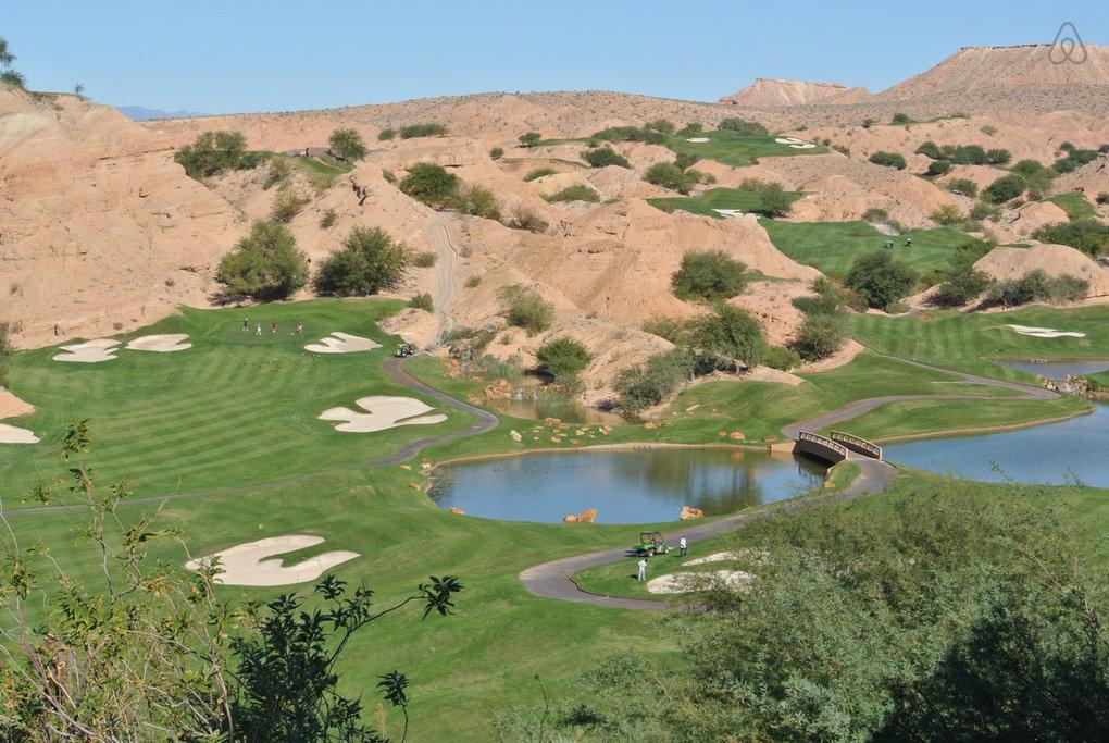 Littlefield Airbnb Rentals Pet Policy