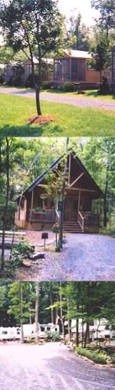 Pet Friendly Campgrounds In Reading Pa Bringfido