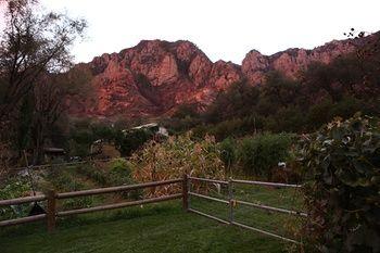 Orchard Canyon On Oak Creek Pet Policy