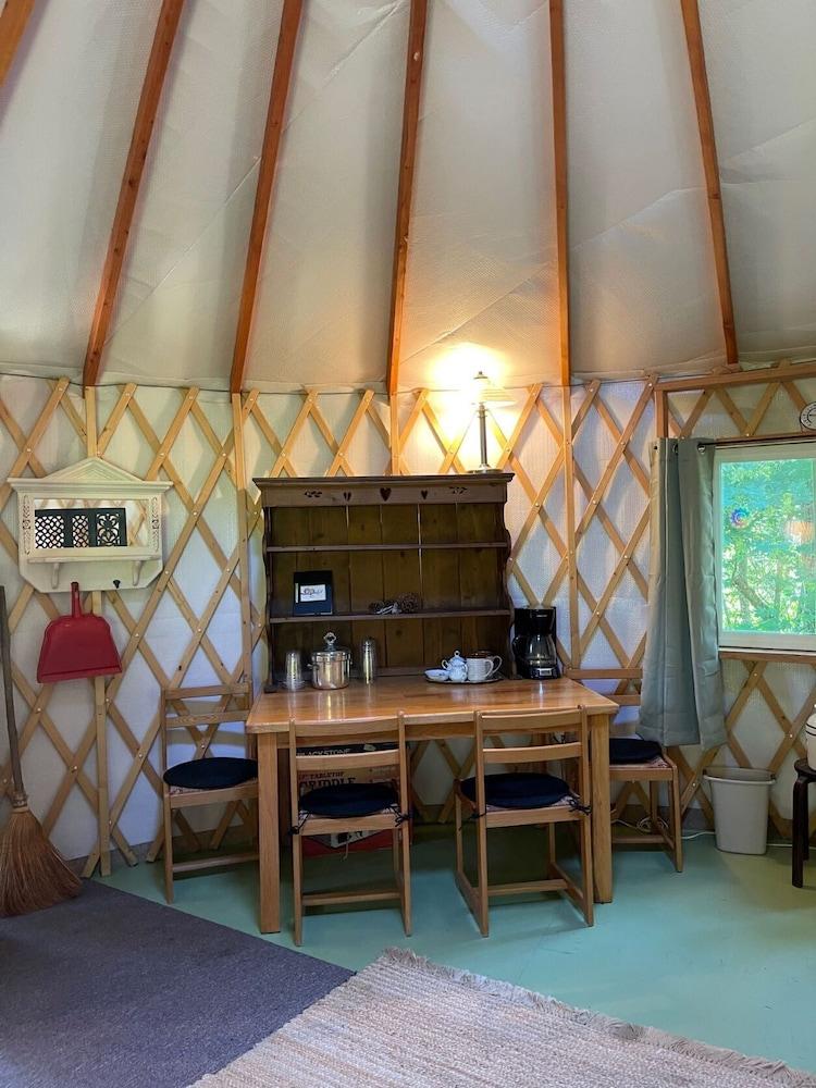 Pet Friendly Eagle Mountain Yurt