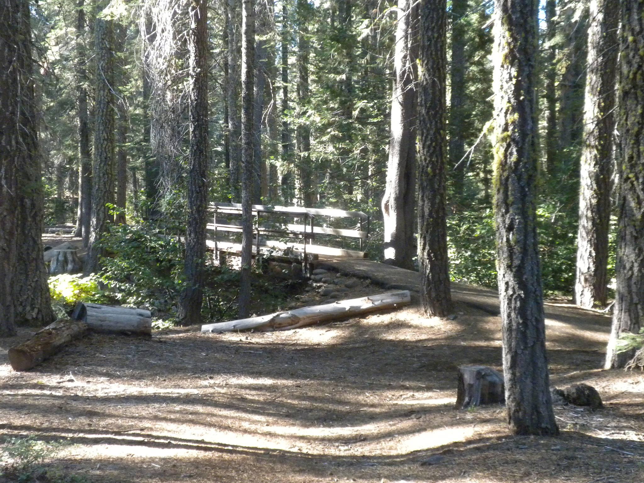 Pet Friendly Red Feather California Campground
