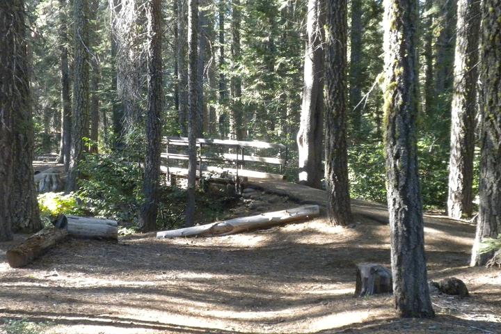 Pet Friendly Red Feather California Campground