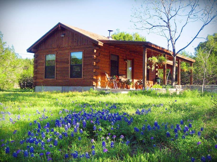Pet Friendly Vacation Rentals In Wimberley Tx Bringfido