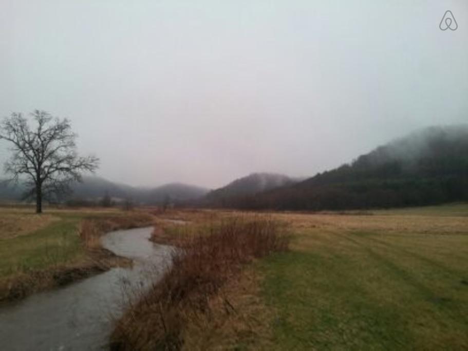 Hillsboro Airbnb Rentals Pet Policy