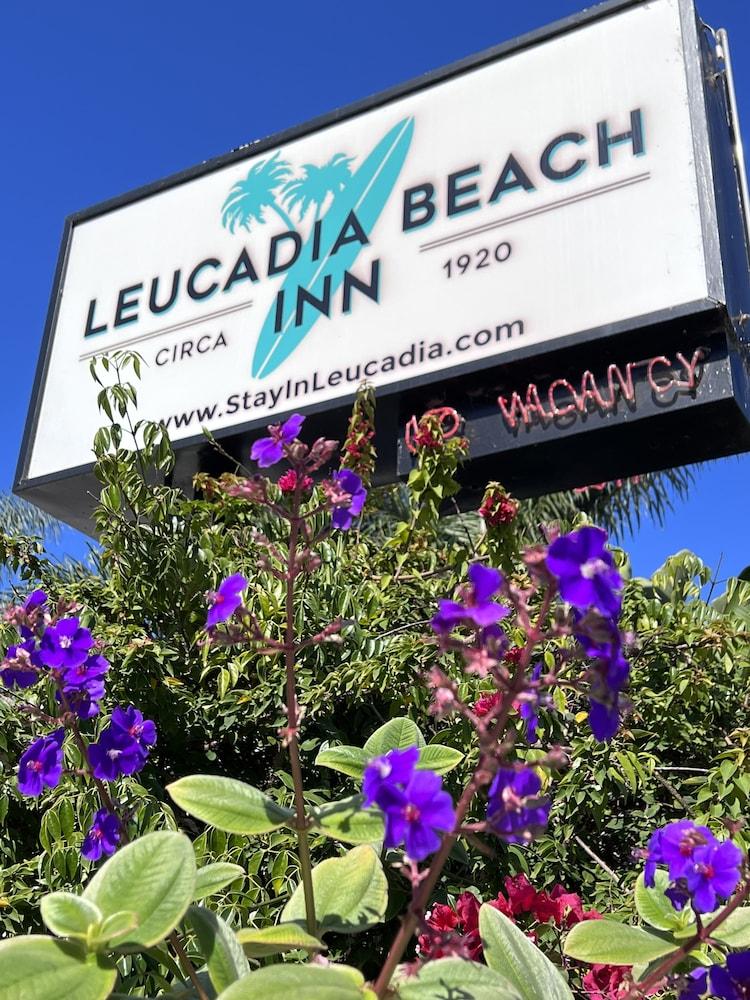 Pet Friendly Leucadia Beach Inn