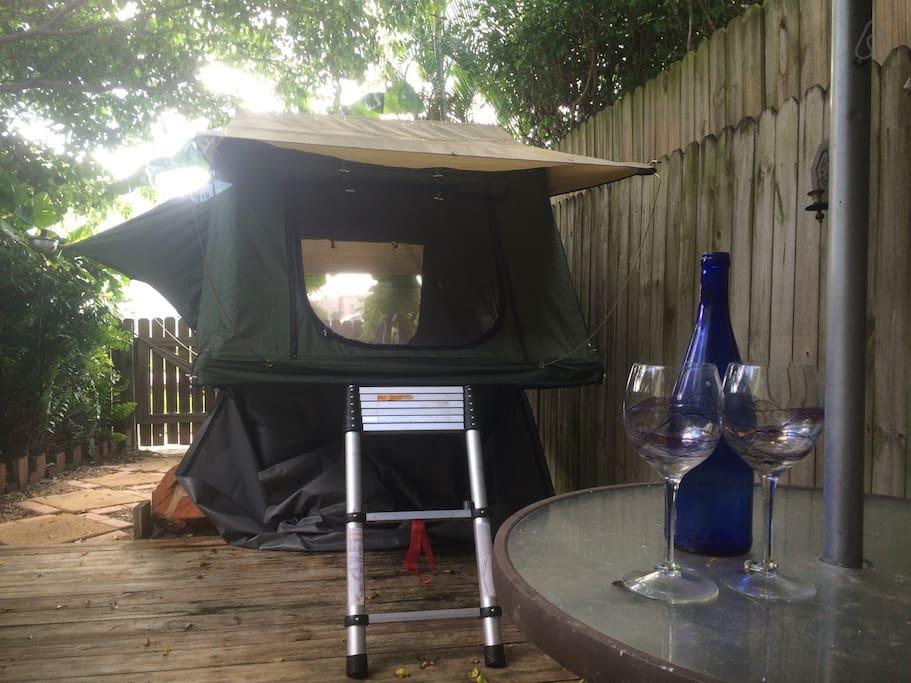Cape Canaveral Airbnb Rentals Pet Policy