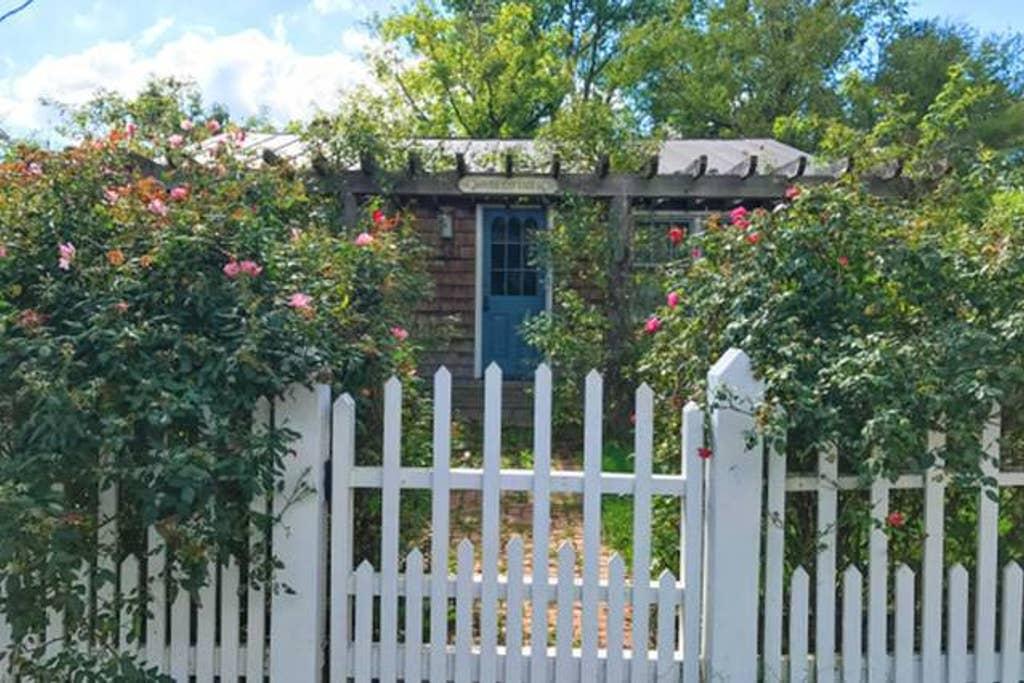 Sperryville Airbnb Rentals Pet Policy