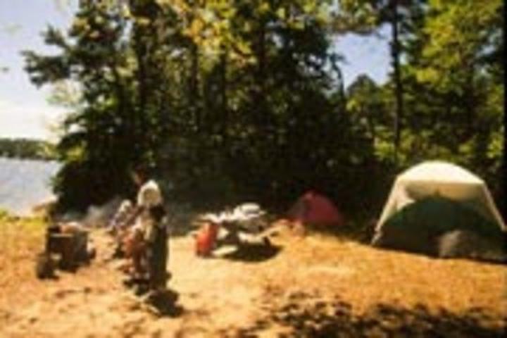 Pet Friendly Myles Standish State Forest Campground