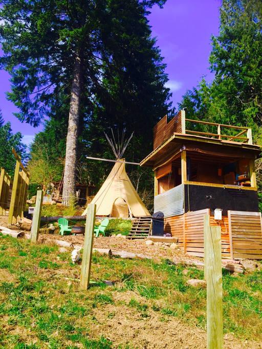 Pet Friendly Stevenson Airbnb Rentals