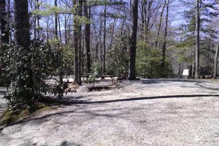 Pet Friendly Linville Falls Campground, RV Park & Cabins