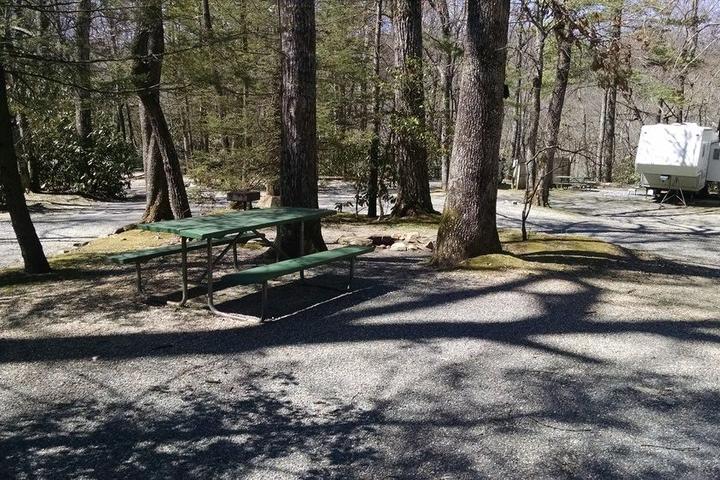 Pet Friendly Linville Falls Campground, RV Park & Cabins