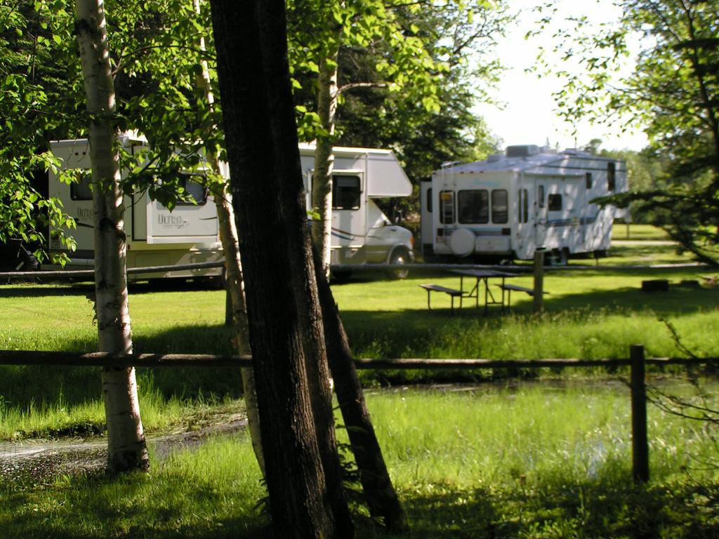 Pet Friendly Moose River Campground & Cabins