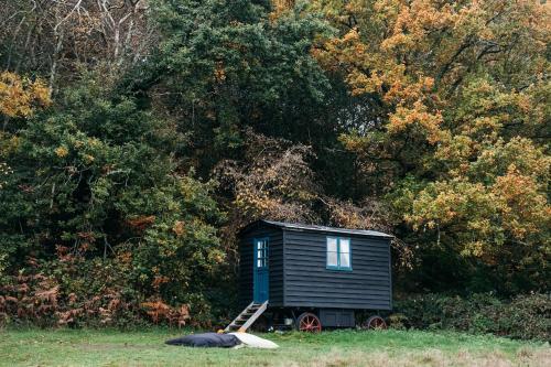 Pet Friendly Beautiful Secluded Shepherd's Hut in the National Park