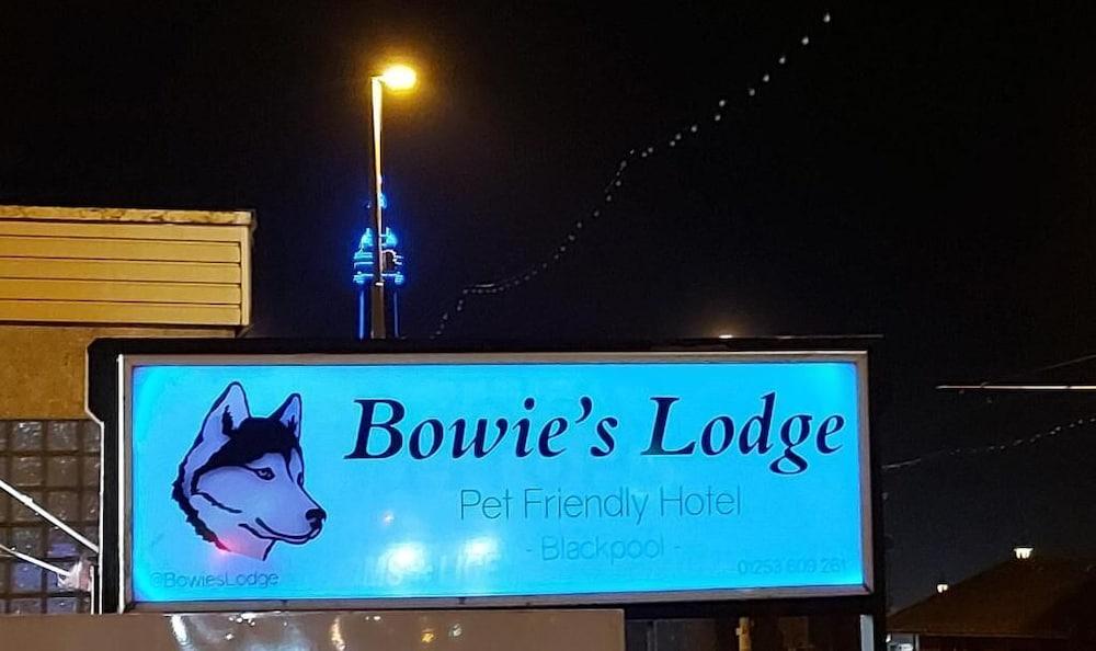 Pet Friendly Bowie's Lodge