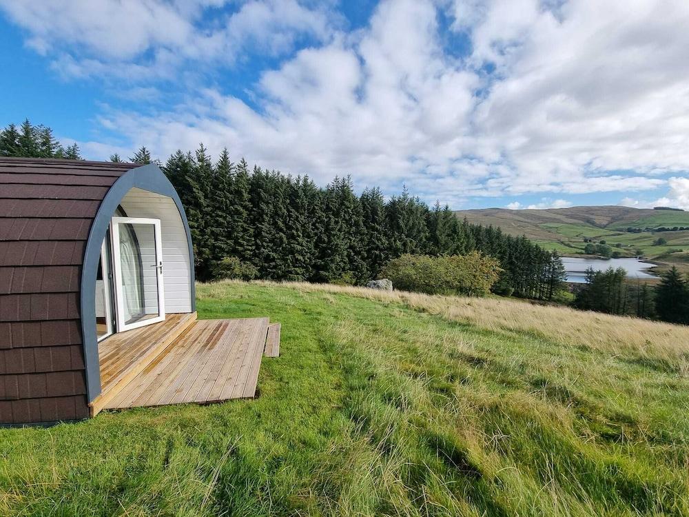 Pet Friendly Forester's Retreat Glamping - Dinas View