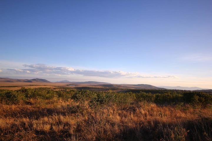 Pet Friendly Isiolo Airbnb Rentals