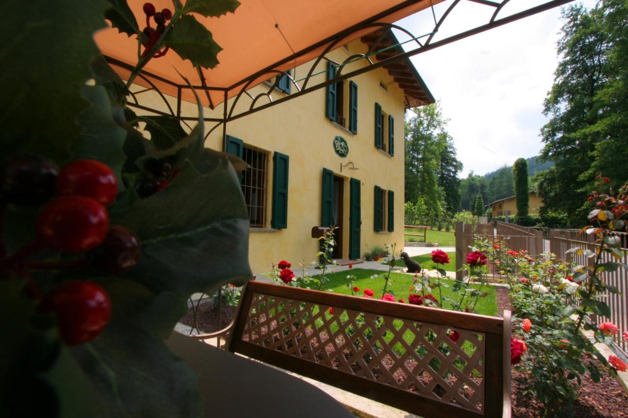 Pet Friendly B&B La Casa di Campagna