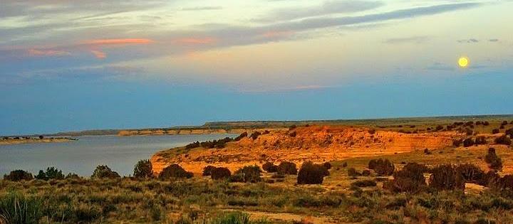 Lake Pueblo State Park Campground is dog friendly! Lake Pueblo State Park Campground is dog friendly!