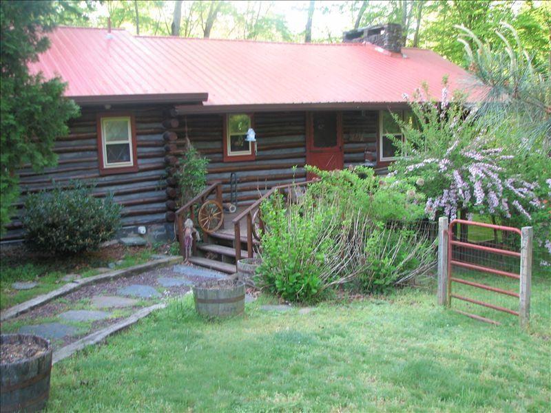 Pet Friendly Vacation Rentals In Hayesville Nc Bringfido