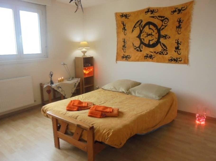 Pet Friendly Obernai Airbnb Rentals