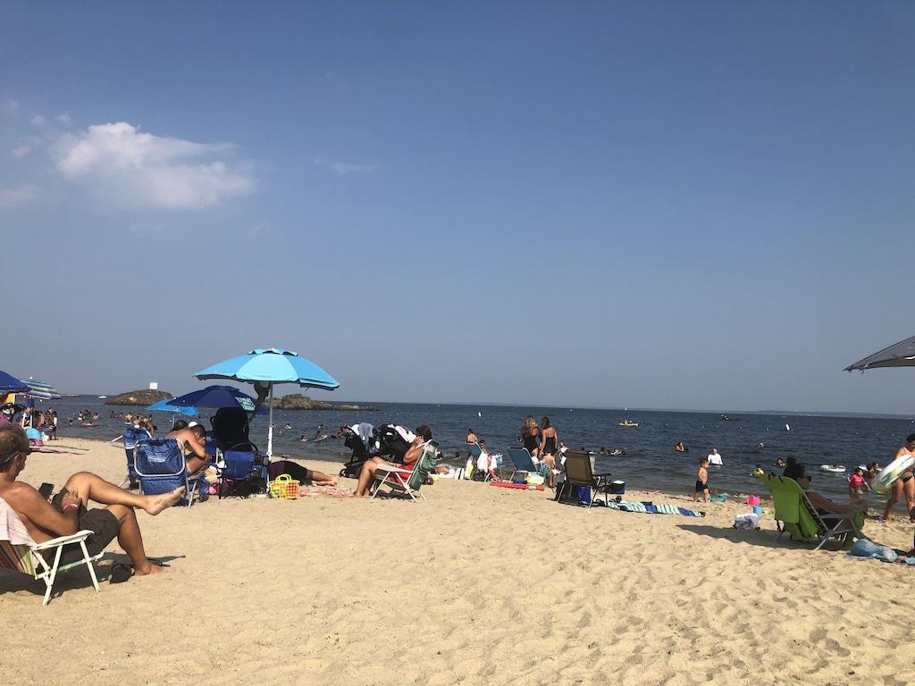 3/2 House Steps to Rye Beach Pet Policy