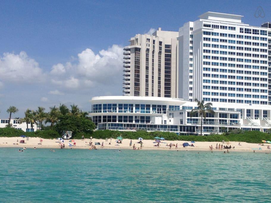 Bay Harbor Islands Airbnb Rentals Pet Policy