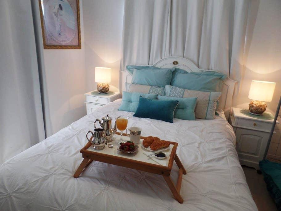 Pet Friendly Redcliffe Airbnb Rentals