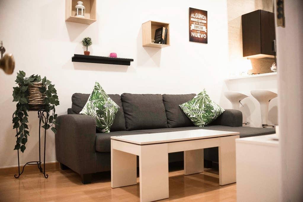 Pet Friendly Melilla Airbnb Rentals