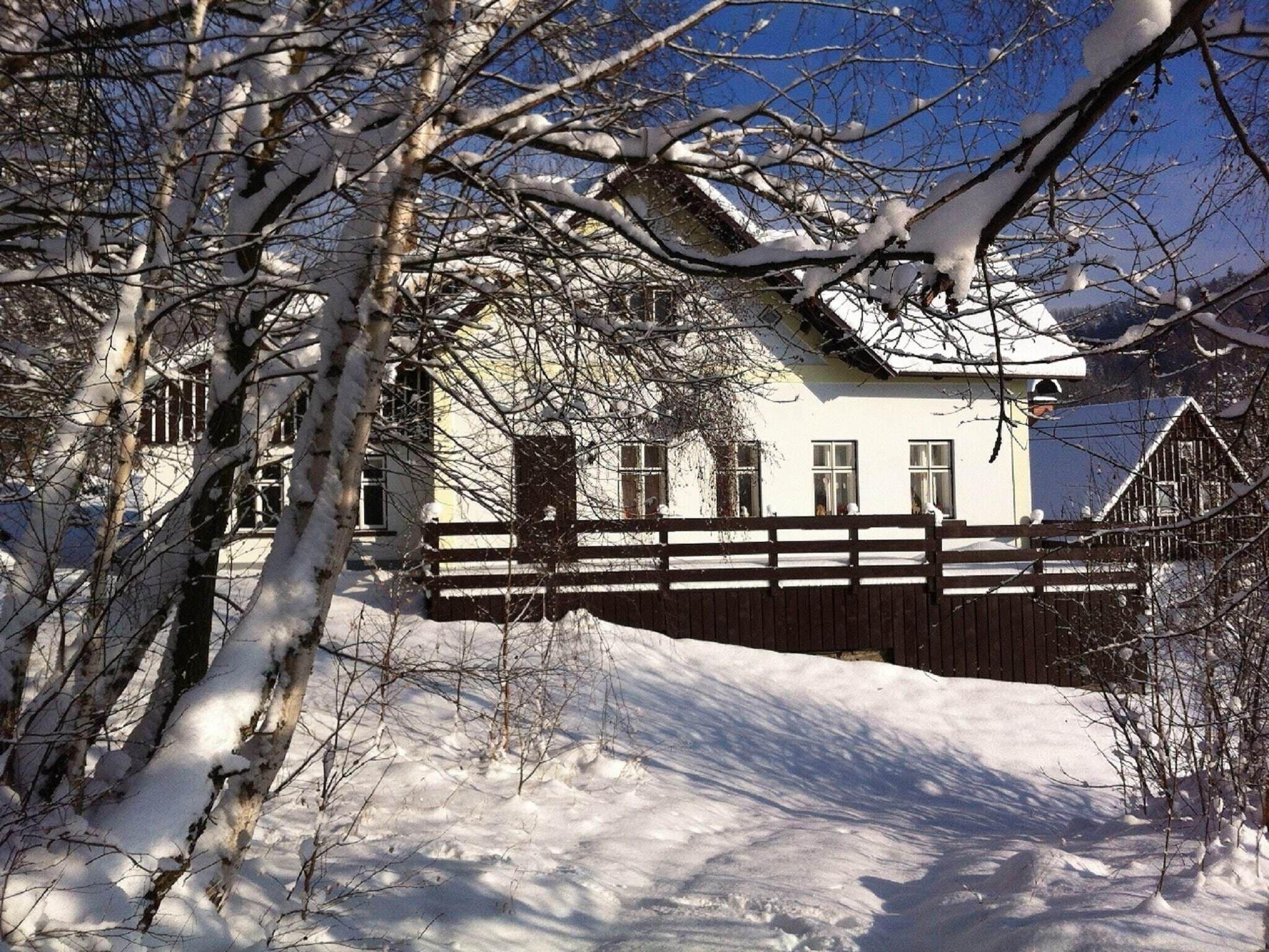 Pet Friendly Chalet Nisou