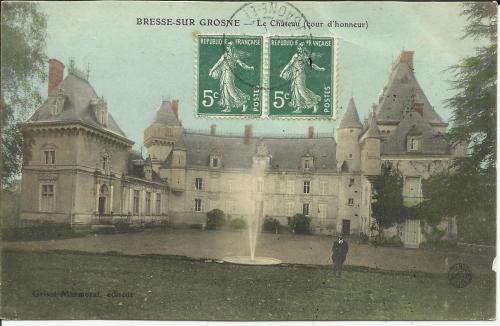 Pet Friendly Chateau de Bresse sur Grosne