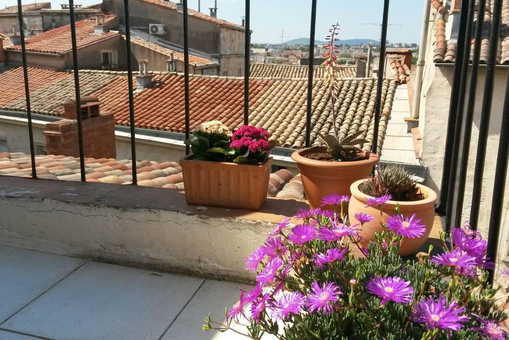 Pet Friendly Montpellier Airbnb Rentals