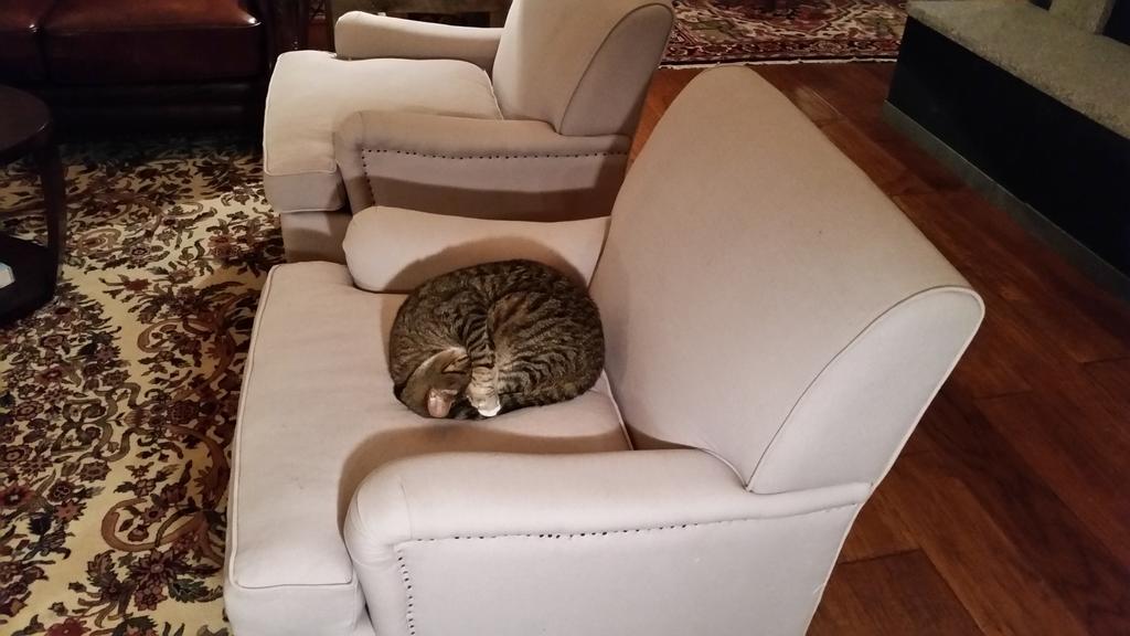 The Inn On Winter S Hill Pet Policy