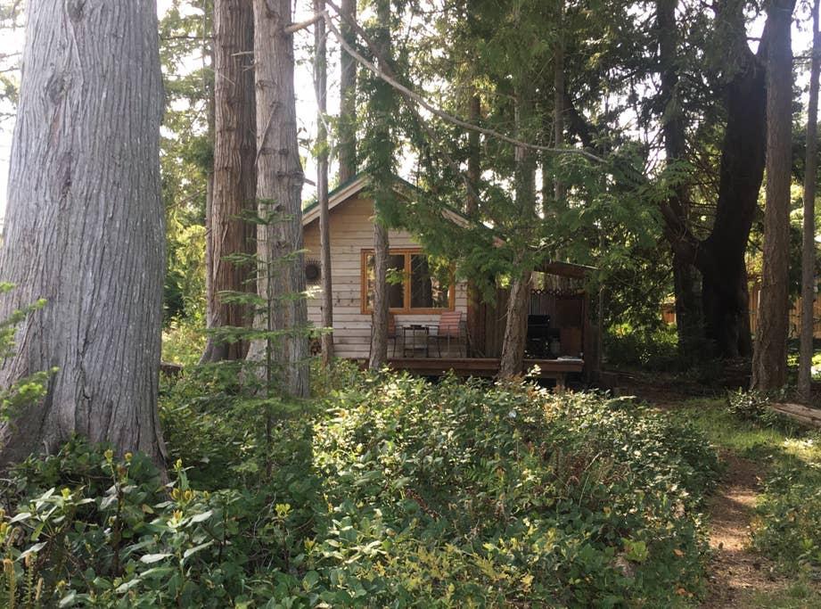 Pet Friendly Vacation Rentals In Parksville Bc Bringfido