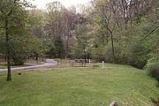 Pet Friendly Salthouse Branch Campground