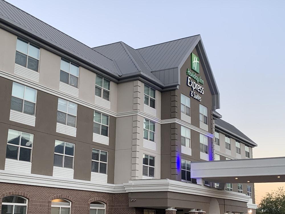 Holiday inn express hot sale dog friendly hotels