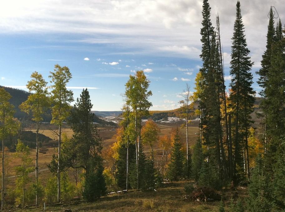 Clark Airbnb Rentals Pet Policy